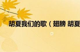 胡夏我们的歌（翅膀 胡夏演唱歌曲相关内容简介介绍）