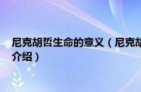 尼克胡哲生命的意义（尼克胡哲：像雕塑一样活着相关内容简介介绍）