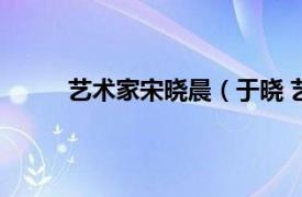 艺术家宋晓晨（于晓 艺术家相关内容简介介绍）