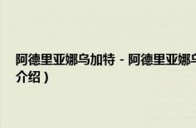 阿德里亚娜乌加特 - 阿德里亚娜乌加特（阿德里亚娜乌加特相关内容简介介绍）