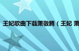 王妃歌曲下载萧敬腾（王妃 萧敬腾唱片专辑相关内容简介介绍）