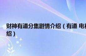 财神有道分集剧情介绍（有道 电视剧《财神有道》中人物相关内容简介介绍）