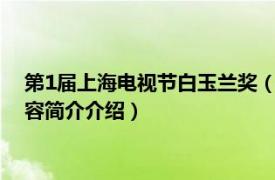 第1届上海电视节白玉兰奖（第27届上海电视节白玉兰奖相关内容简介介绍）