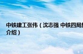 中铁建工张伟（沈志强 中铁四局集团第一工程有限公司职工相关内容简介介绍）