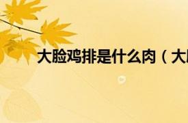 大脸鸡排是什么肉（大脸鸡排相关内容简介介绍）