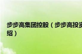 步步高集团控股（步步高投资集团股份有限公司相关内容简介介绍）