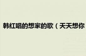 韩红唱的想家的歌（天天想你 韩红演唱歌曲相关内容简介介绍）