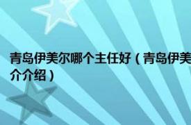 青岛伊美尔哪个主任好（青岛伊美尔国宾整形外科医院有限公司相关内容简介介绍）