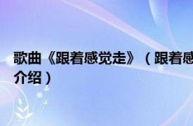 歌曲《跟着感觉走》（跟着感觉走 李玲玉演唱歌曲相关内容简介介绍）