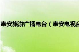 泰安旅游广播电台（泰安电视台旅游文化频道相关内容简介介绍）