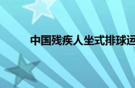 中国残疾人坐式排球运动员在黄琴相关内容介绍