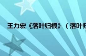 王力宏《落叶归根》（落叶归根：王力宏相关内容简介介绍）