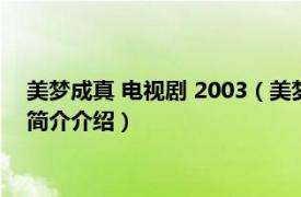 美梦成真 电视剧 2003（美梦成真 2003年台湾电视剧相关内容简介介绍）