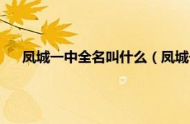 凤城一中全名叫什么（凤城一中魁星楼相关内容简介介绍）