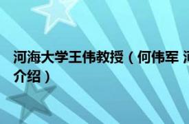 河海大学王伟教授（何伟军 河海大学研究生院教授相关内容简介介绍）