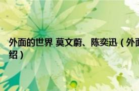 外面的世界 莫文蔚、陈奕迅（外面的世界 莫文蔚演唱歌曲相关内容简介介绍）