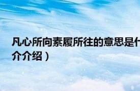 凡心所向素履所往的意思是什么（凡心所向素履可往相关内容简介介绍）