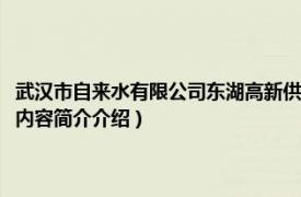 武汉市自来水有限公司东湖高新供水公司（武汉市自来水公司东湖水厂相关内容简介介绍）