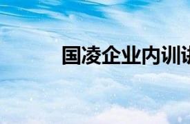 国凌企业内训讲师相关内容简介