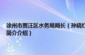 徐州市贾汪区水务局局长（孙晓红 徐州市贾汪区水利局纪检书记相关内容简介介绍）