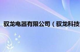 驭龙电器有限公司（驭龙科技集团有限公司相关内容简介介绍）