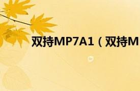 双持MP7A1（双持MP7A1相关内容简介介绍）