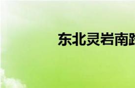 东北灵岩南路相关内容简介