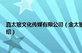 真太狼文化传媒有限公司（金太狼 北京文化发展有限公司相关内容简介介绍）