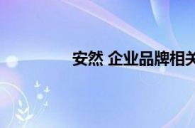 安然 企业品牌相关内容简介介绍怎么写