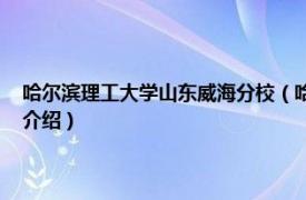 哈尔滨理工大学山东威海分校（哈尔滨工业大学 威海理学院相关内容简介介绍）