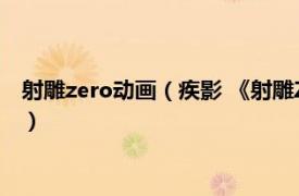 射雕zero动画（疾影 《射雕ZERO》角色之一相关内容简介介绍）