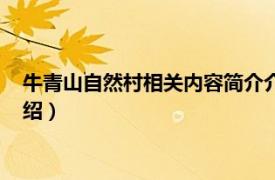 牛青山自然村相关内容简介介绍（牛青山自然村相关内容简介介绍）