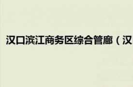 汉口滨江商务区综合管廊（汉口滨江商务区相关内容简介介绍）