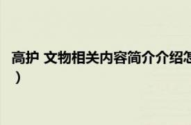 高护 文物相关内容简介介绍怎么写（高护 文物相关内容简介介绍）