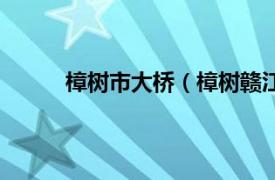 樟树市大桥（樟树赣江大桥相关内容简介介绍）