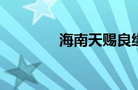 海南天赐良缘相关内容简介