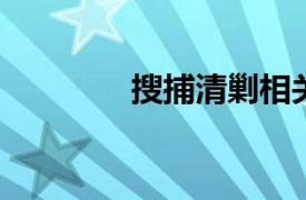 搜捕清剿相关内容简介介绍