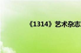 《1314》艺术杂志对话栏目相关内容介绍