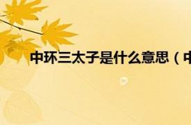 中环三太子是什么意思（中环三太子相关内容简介介绍）