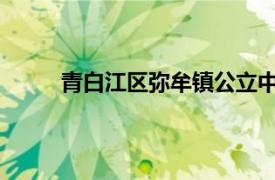 青白江区弥牟镇公立中心卫生院医务科科长简介