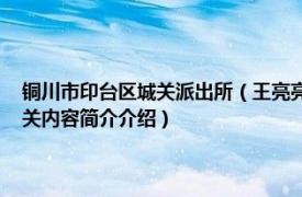 铜川市印台区城关派出所（王亮亮 陕西省铜川市印台区城关街道办居民相关内容简介介绍）