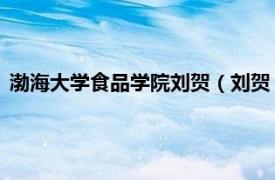 渤海大学食品学院刘贺（刘贺 渤海大学教授相关内容简介介绍）