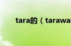 tara的（tarawa相关内容简介介绍）