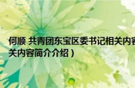 何顺 共青团东宝区委书记相关内容简介介绍（何顺 共青团东宝区委书记相关内容简介介绍）