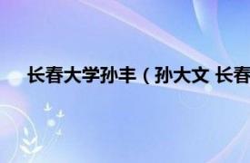 长春大学孙丰（孙大文 长春大学副校长相关内容简介介绍）