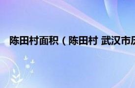 陈田村面积（陈田村 武汉市历史文化名村相关内容简介介绍）