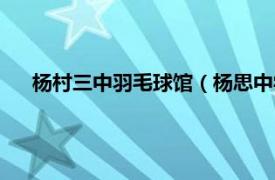 杨村三中羽毛球馆（杨思中学羽毛球馆相关内容简介介绍）