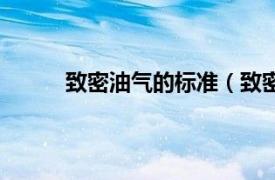 致密油气的标准（致密油气相关内容简介介绍）