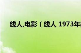 线人,电影（线人 1973年美国电影相关内容简介介绍）