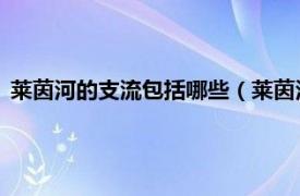 莱茵河的支流包括哪些（莱茵河 欧洲河流名相关内容简介介绍）